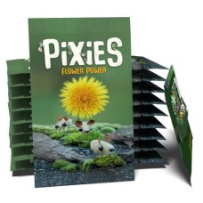 Pixies - Flower Power  Erweit. Nur NL