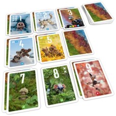 Pixies Kartenspiel nür NL