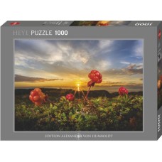 Puzzle Cloudberries 1000 Heye Puzzle Cloudberries 1000 Heye