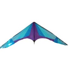 Drachen mit Kohlenstoff-Sticks Drachen mit Kohlenstoff-Sticks