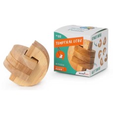 Temperal Lobe, Gehirnrätsel 3, Recent Toys Temperal Lobe, Gehirnrätsel 3, Recent Toys