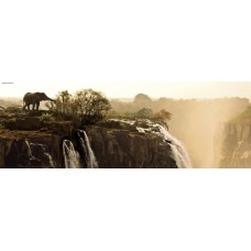 Puzzle Elephant 1000 Panorama Heye 29287 Puzzle Elephant 1000 Panorama Heye 29287