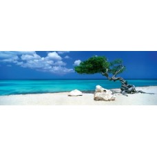 Puzzle Divi Divi Tree,1000 Pano.Heye 29399 Puzzle Divi Divi Tree,1000 Pano.Heye 29399