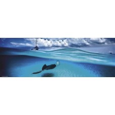 Puzzle,Stingray,Humb.1000 Pan.Heye 29470 Puzzle,Stingray,Humb.1000 Pan.Heye 29470