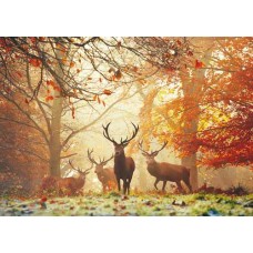 Puzzle Stags,Magic For.1000 Heye 29805 Puzzle Stags,Magic For.1000 Heye 29805