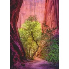 Puzzle,Singing Canyon 1000 Heye 29944 Puzzle,Singing Canyon 1000 Heye 29944