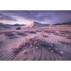 Puzzel Arrow Dynamic 1000 Heye 29945 Puzzel Arrow Dynamic 1000 Heye 29945