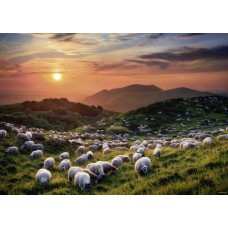 Puzzle Sheep Volcanoes 1000 T.Heye 29977 Puzzle Sheep Volcanoes 1000 T.Heye 29977